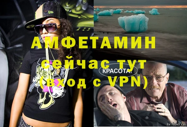 стаф Козловка