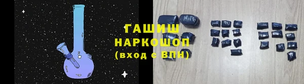 индика Коряжма