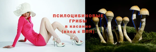 твердый Красноперекопск