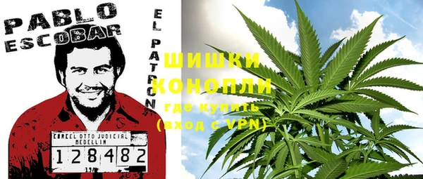 индика Коряжма