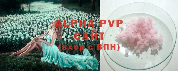 индика Коряжма