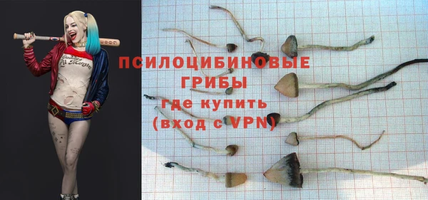 MDMA Premium VHQ Кондопога