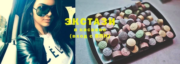 индика Коряжма