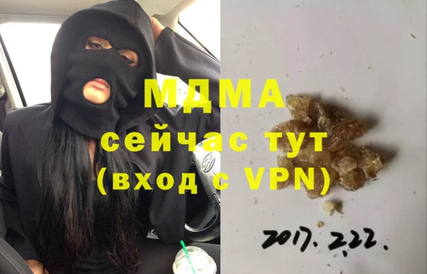 индика Коряжма